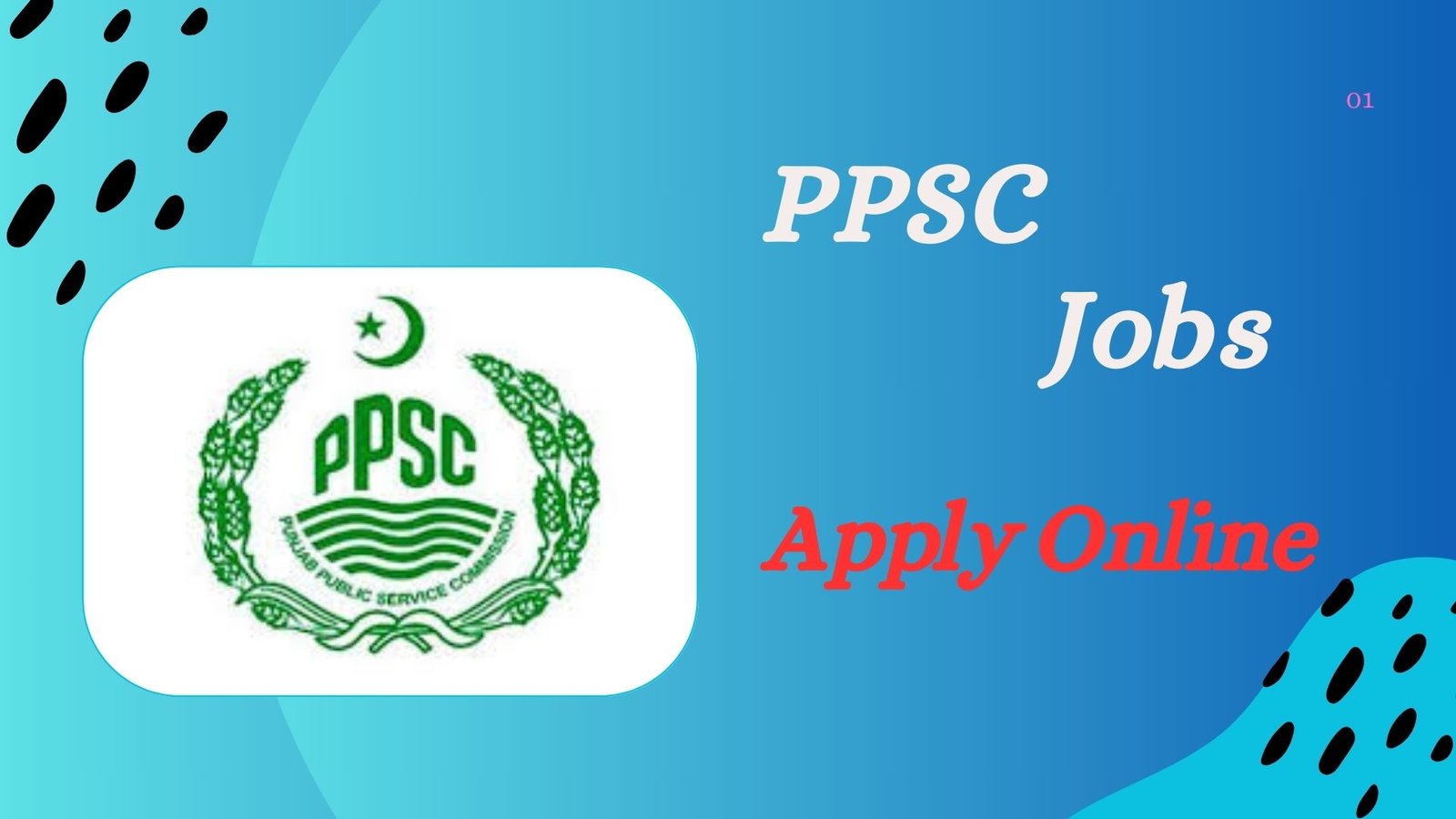 PPSC Jobs 2025