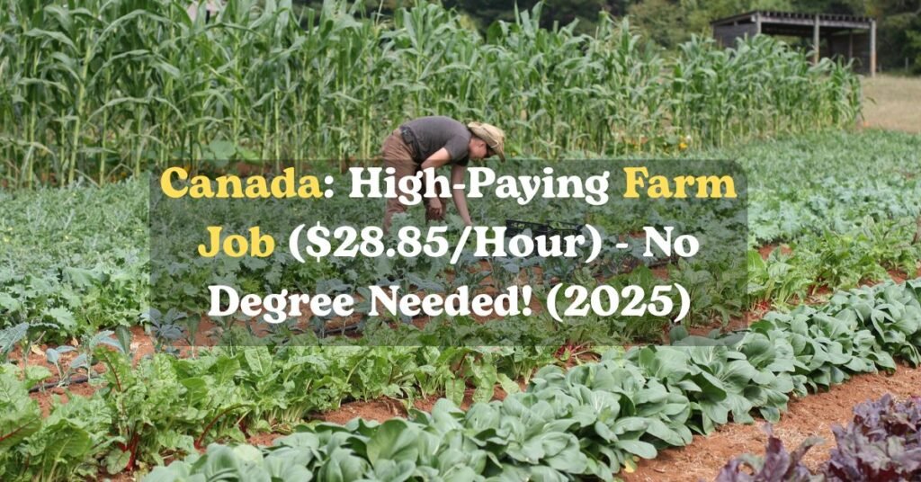 Canada: High-Paying Farm Job ($28.85/Hour) - No Degree Needed! (2025)