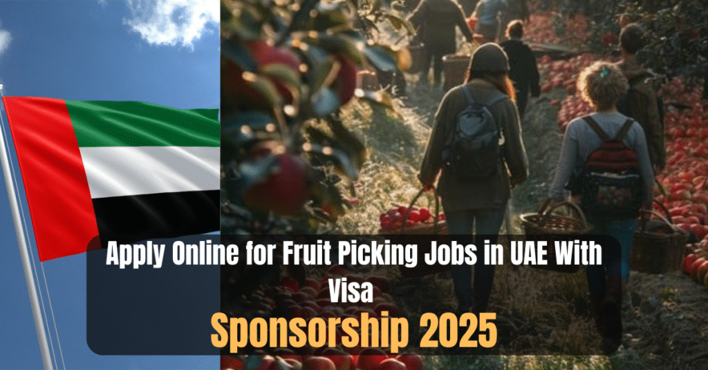 Apply Online for Fruit Picking Jobs in United Arab Emirates With Visa Sponsorship 2025