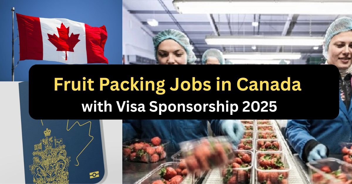 Fruit Packing Jobs in Canada