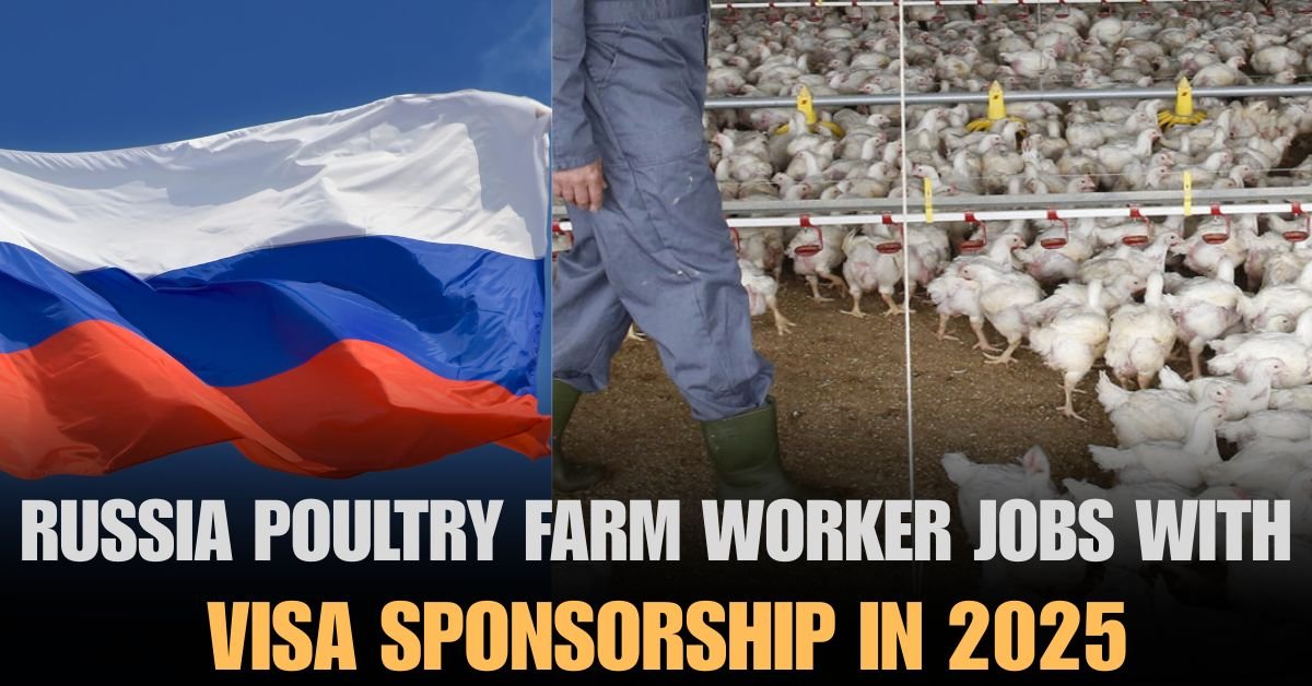 Russia Poultry Farm Worker Jobs With Visa Sponsorship 2025