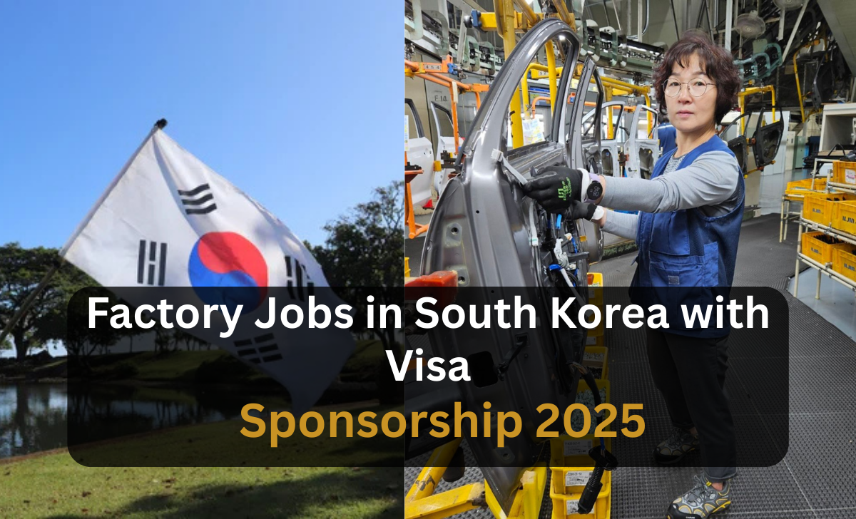 Factory Jobs in South Korea with Visa Sponsorship 2025