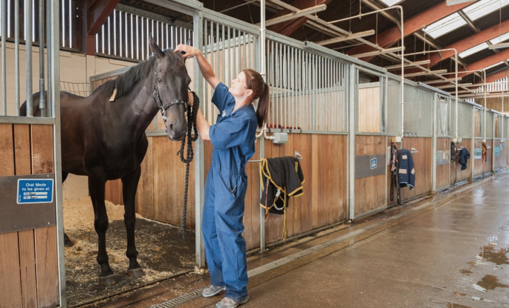 Horse Farm Jobs in Turkey with visa sponsorship 2025