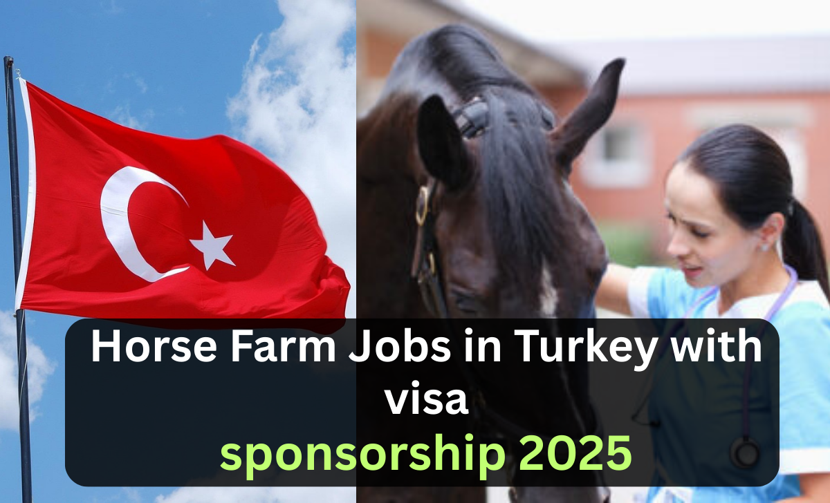 Horse Farm Jobs in Turkey with visa sponsorship 2025