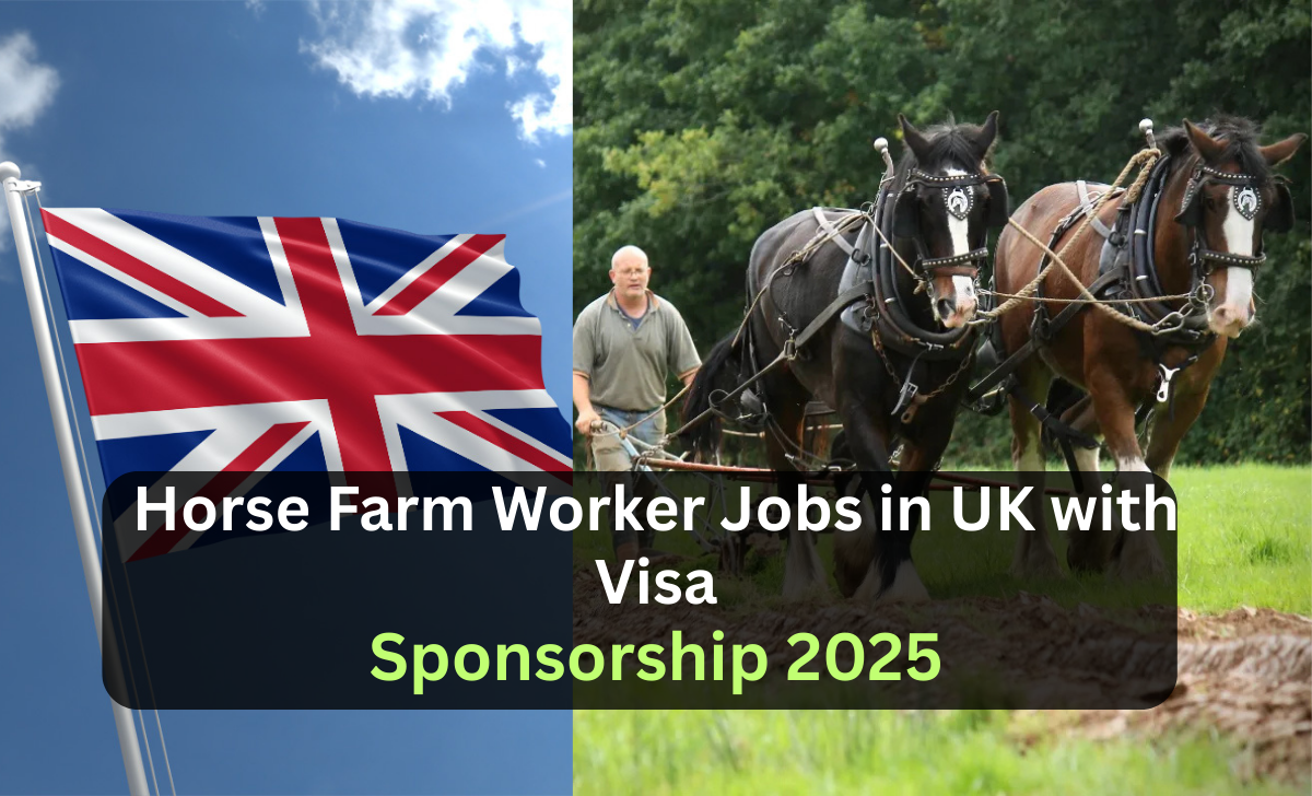 Horse Farm Worker Jobs in UK with Visa Sponsorship 2025