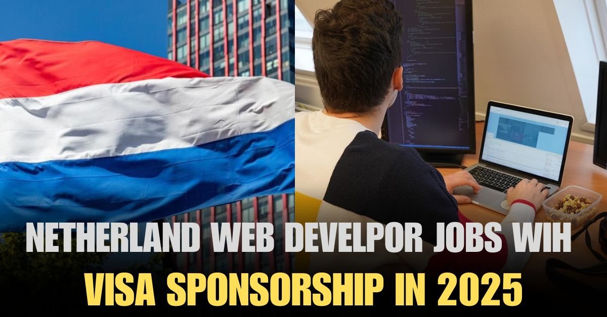 Netherlands Web developer jobs With Visa Sponsorship 2025