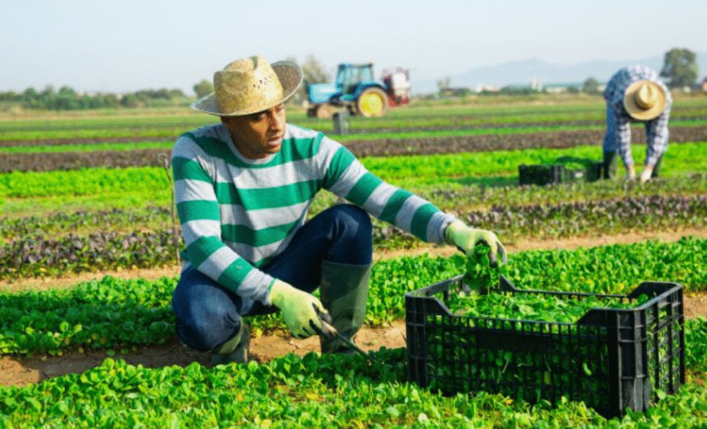 Agriculture Jobs in Luxembourg with Visa Sponsorship 2025