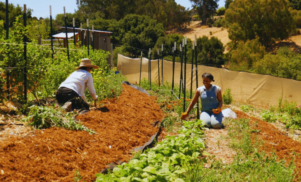 Jobs in Australia Farms and Food Industry for Foreigners