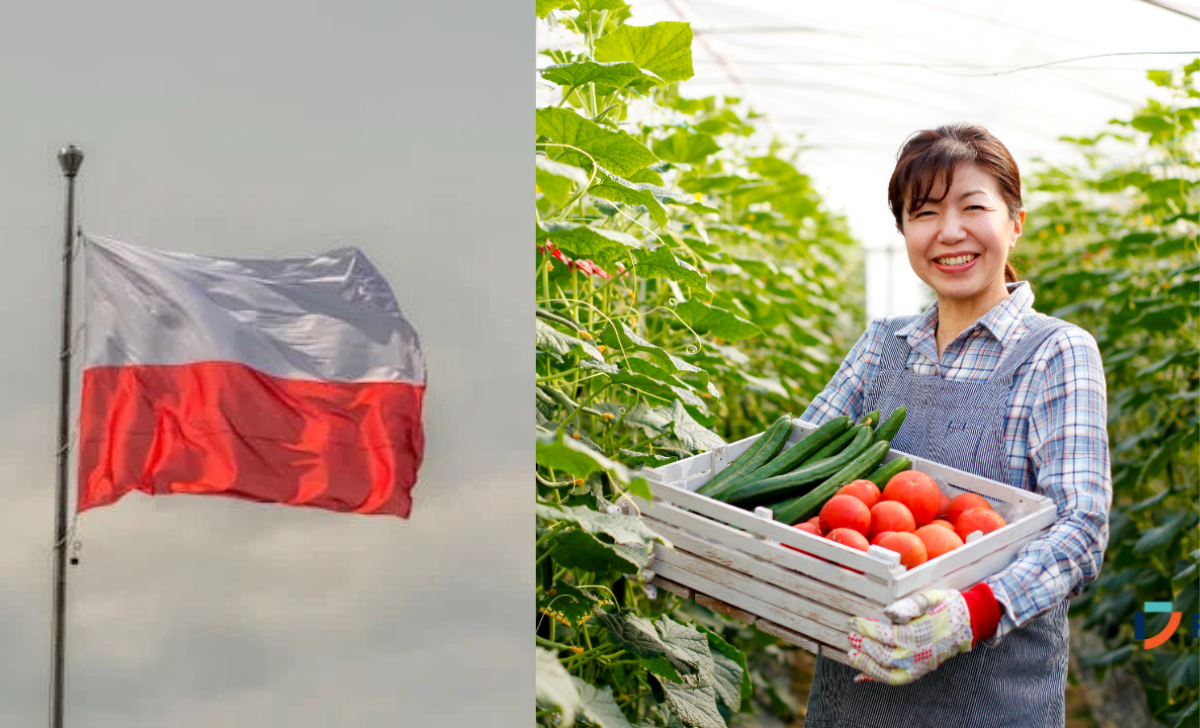 Poland Seasonal Visa Jobs – Agriculture & Farming