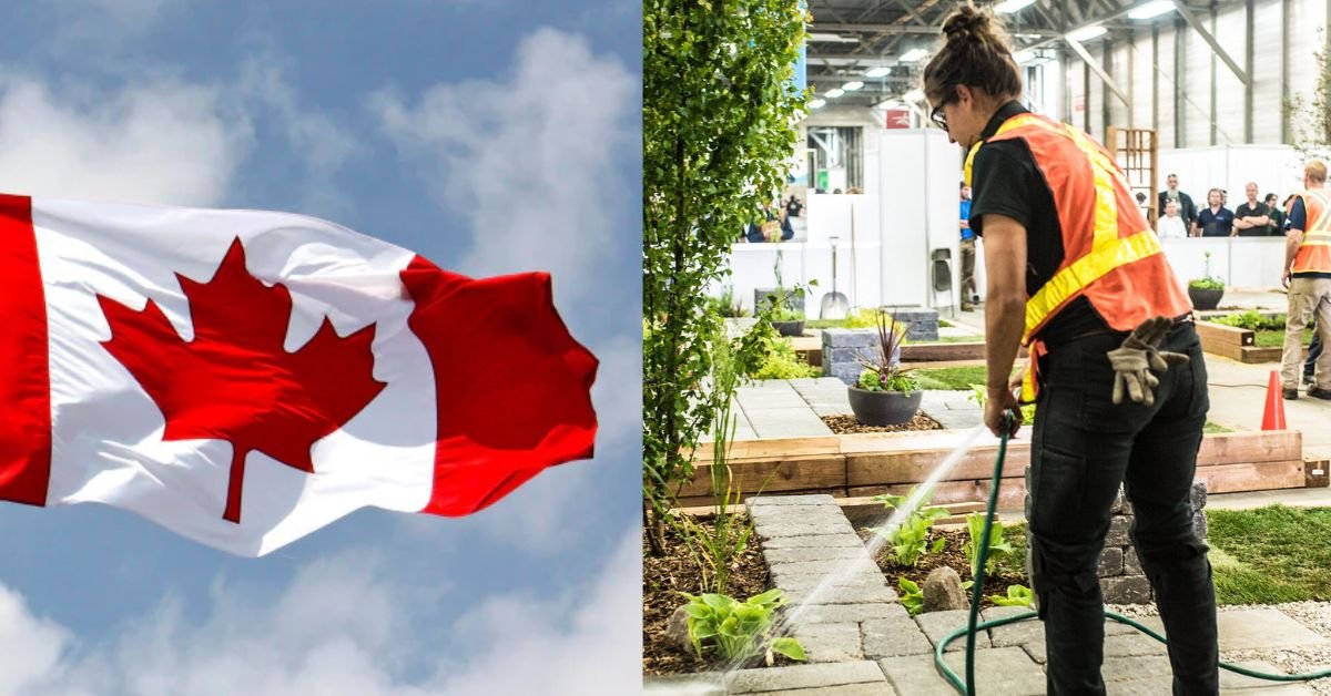 Canada Seasonal Worker Visa Jobs – How to Apply