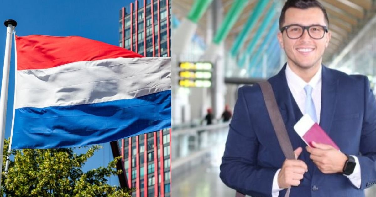Netherlands Blue Card Jobs – The Ultimate 2025