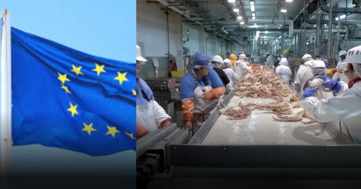 Fastest Processing Work Visas in Europe: 2026 Rankings.