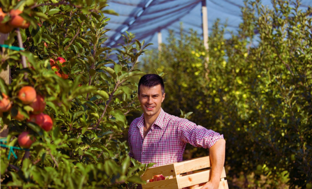 Netherlands Farm Helper Jobs