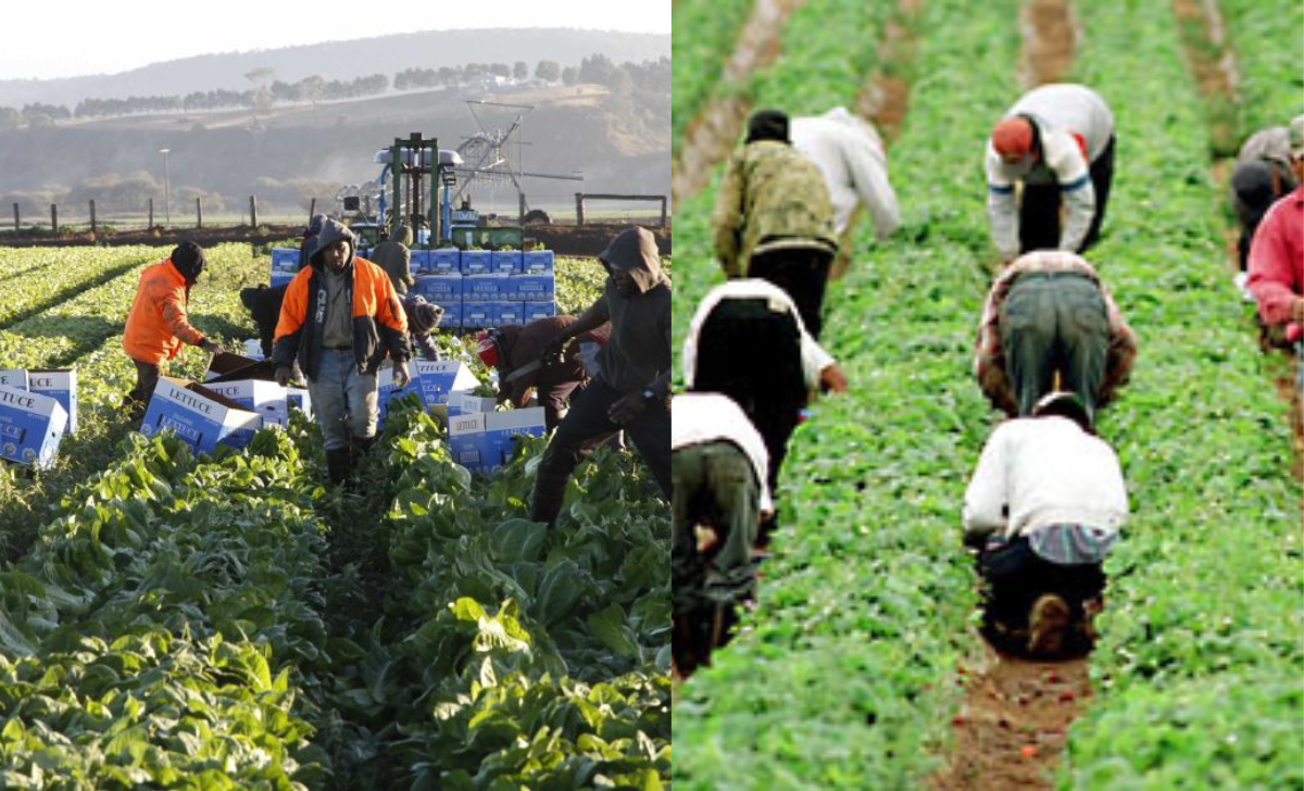 Finland Seasonal Worker Visa Jobs