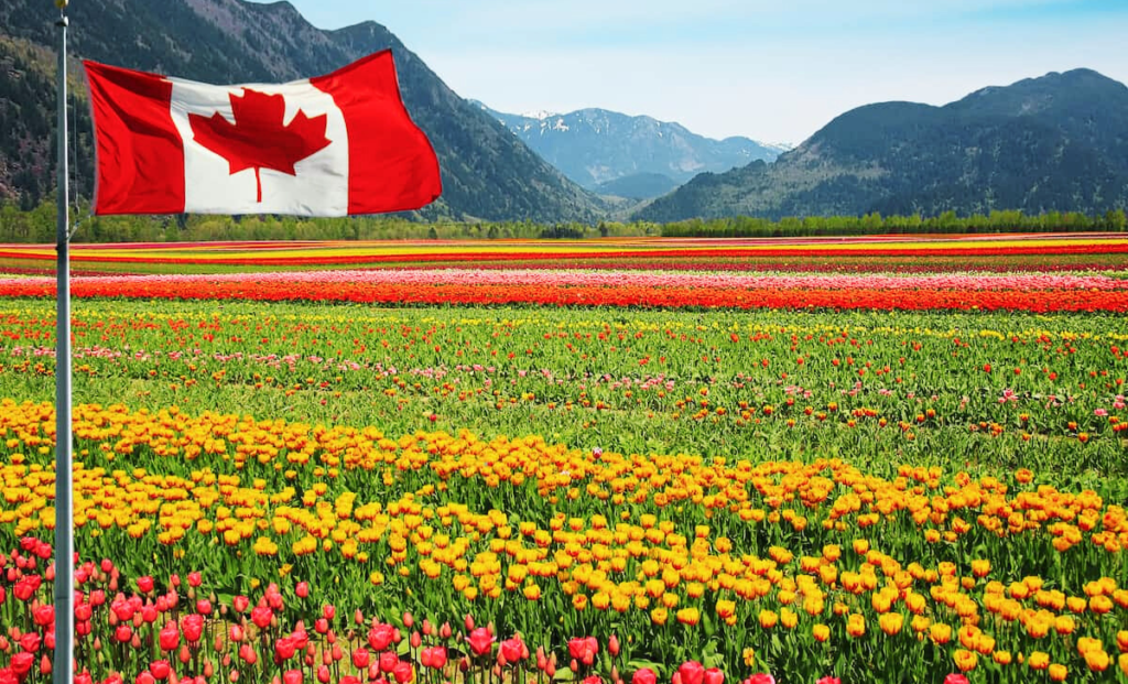Canada Agriculture Jobs