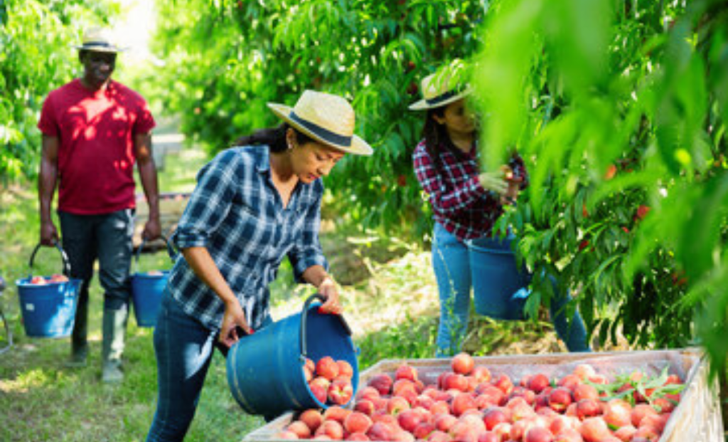 Canada Agriculture Jobs