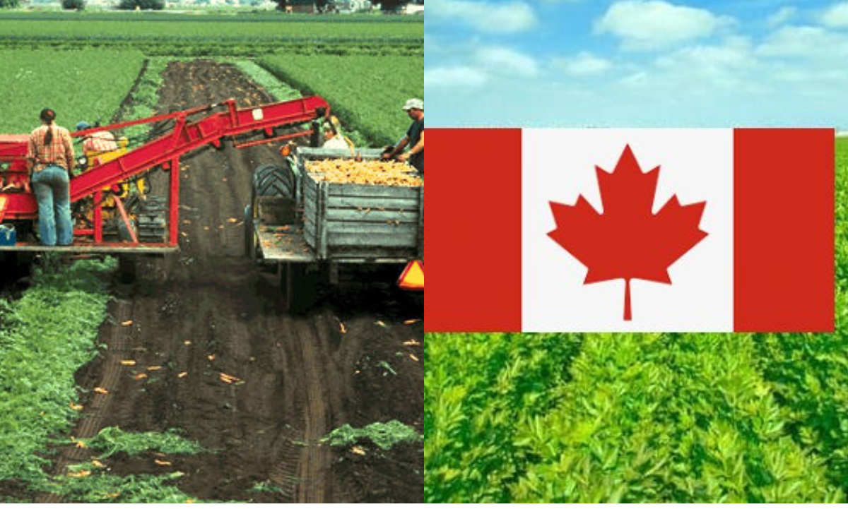 Canada Agriculture Jobs