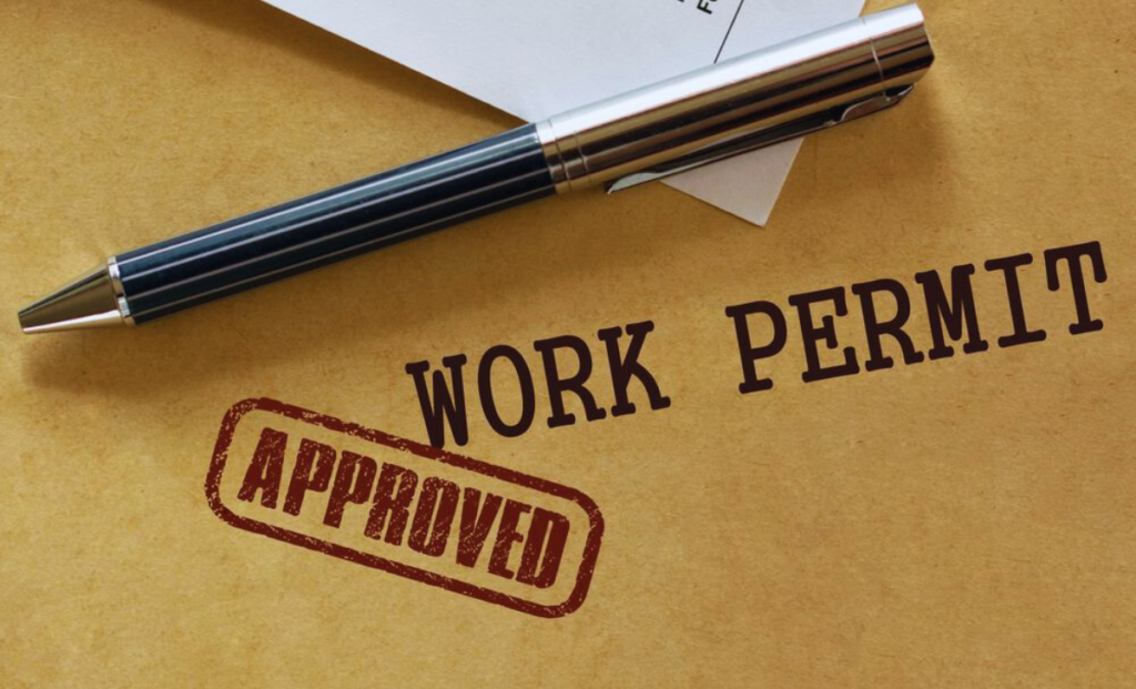 Understanding International Work Visa