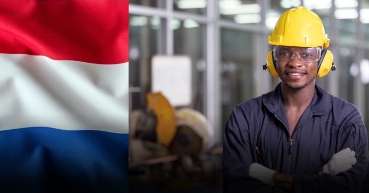 Netherlands Work Visa IND Fees Explained 2026